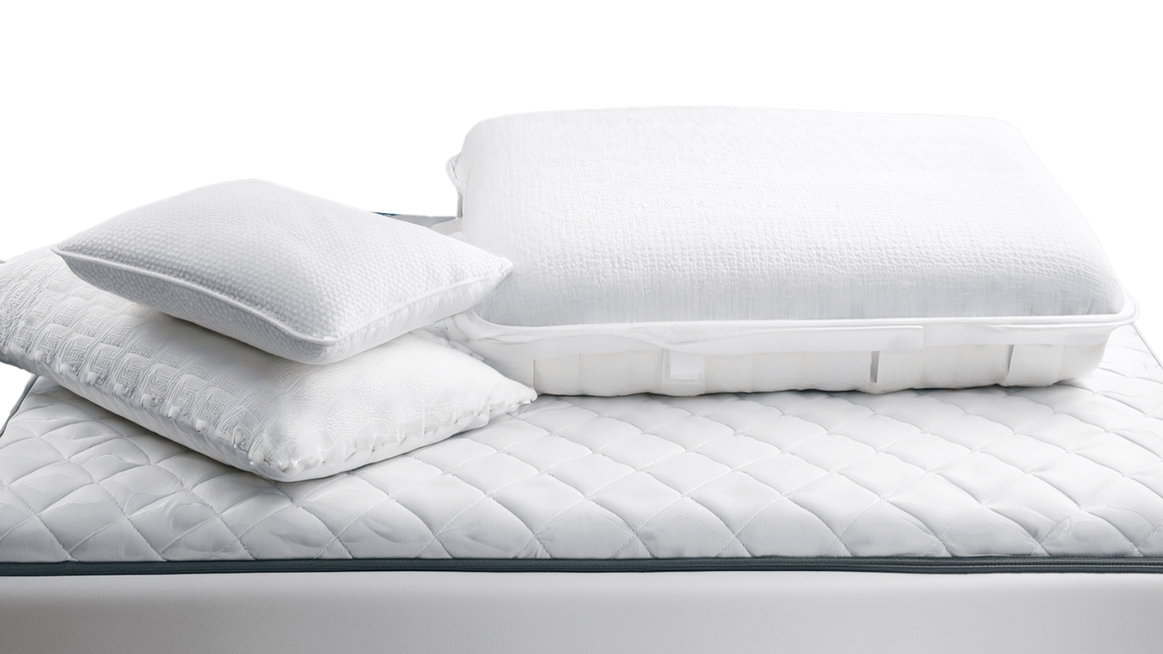  Rosshaar Kissen, Decken 